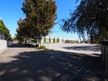 練馬区立大泉学園桜中学校（大泉桜学園）の画像3