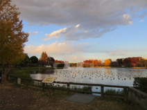 浮間公園