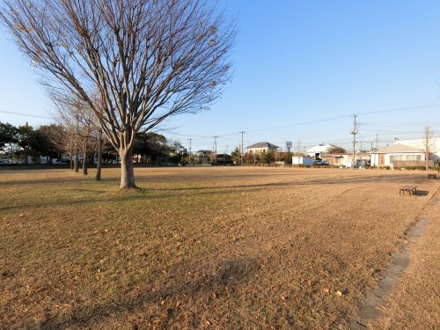 青柳中央公園