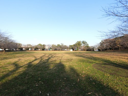 権現森公園