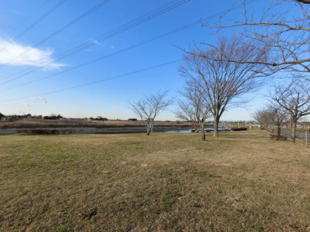 大坪水辺公園