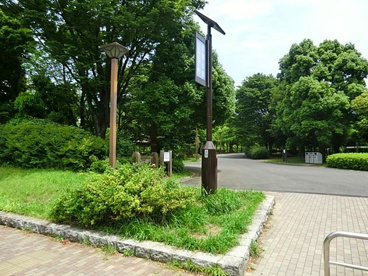木場公園の画像1