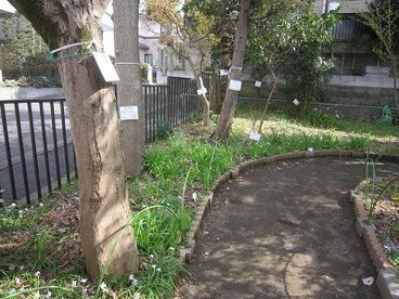 向台植物公園の画像1