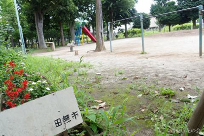 田無四丁目第三公園の画像2
