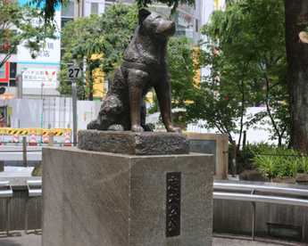 忠犬ハチ公像の画像1
