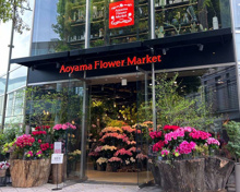 青山フラワーマーケット 南青山本店