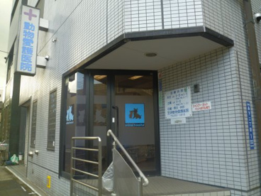 動物愛護医院の画像1