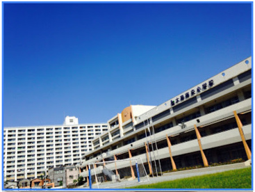 大島南央小学校の画像1