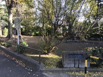 七号通り公園