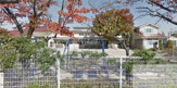 幼稚園 開南幼稚園