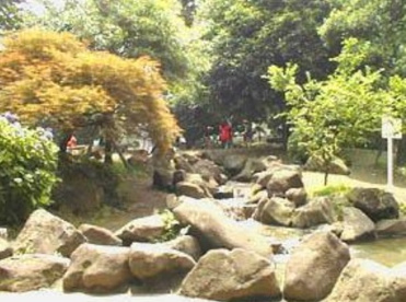 豊島区立千早公園の画像1
