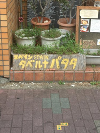 タベルナパタタの画像1