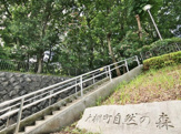 大棚町自然の森