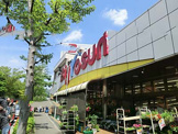 ビッグヨ-サン港北ニュ-タウン店