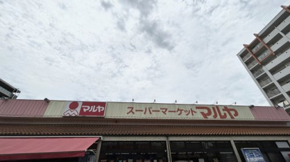 （株）マルヤ 南流山店の画像1