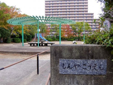 新家公園の画像1