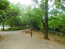 馬橋公園