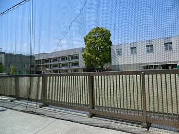 世田谷区立松沢小学校の画像1