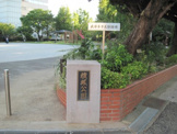 横堀公園