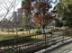 毛馬桜之宮公園の画像