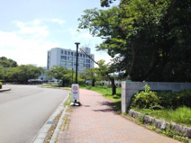 山梨大学医学部