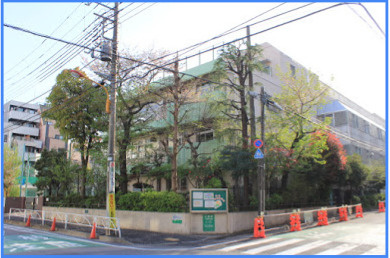 緑小学校の画像1