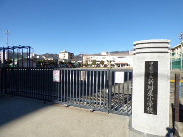 新紺屋小学校の画像1