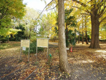 稲荷山憩いの森