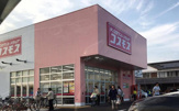 ディスカウントドラッグコスモス東雲店