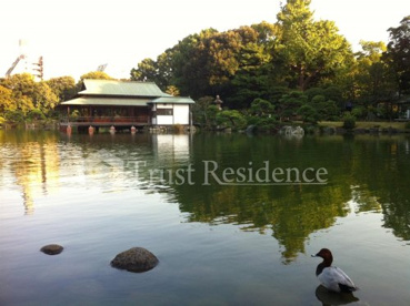 清澄庭園の画像2