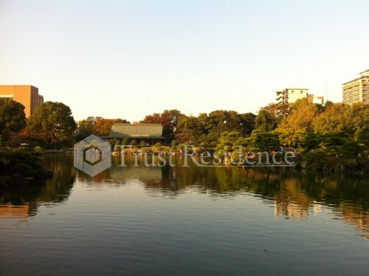 清澄庭園の画像3