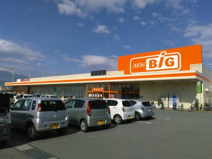 ザ・ビッグ 甲府長松寺店