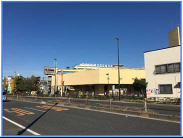 かって東京湾の海は、上野の山、王子赤羽、市川国府台と連なる台地の下までよせ、湾に注ぐ利根川も河口は大分奥の方であった。大利根の流れは絶えず上流からの土砂を運び、堆積させ洲を作っていった。正倉院に残る養老5年(721)の「養老戸籍」に、現在の柴又・小岩と推定される下総国葛飾郡大嶋郷島俣(しままた)、甲和里(こうわり)の人々の記載があり、近年の発掘調査で多くの出土物もみられている。市川台地寄りにまず州・島(柴又・小岩)ができ、台地をおりて人々が住むようになったものであろう。
武蔵国から下総・上総国への官 東吾嬬小学校の画像1