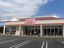 ファッションセンターしまむら田寺店