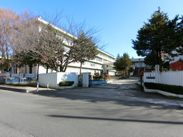 緑小学校の画像1