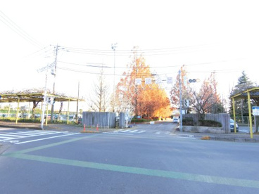 大沼公園の画像2