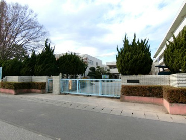 小渕小学校の画像1