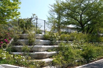 和田さくらの坂公園