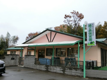 緑の森保育園の画像1