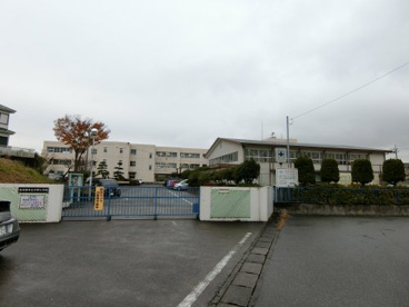 中野小学校の画像1