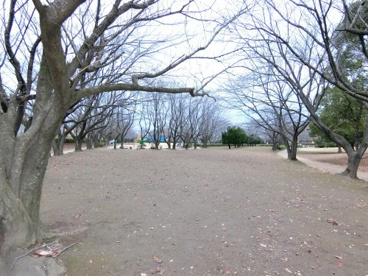 一ノ割公園の画像2
