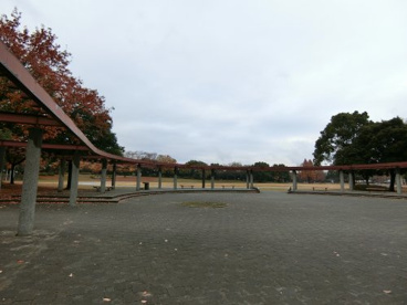 庄和総合公園の画像3