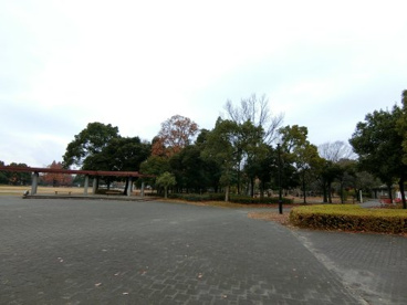 庄和総合公園の画像4