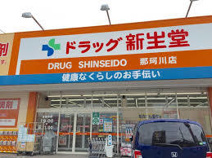 ドラッグ新生堂 那珂川店