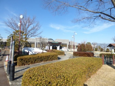 昭和町立 図書館の画像2