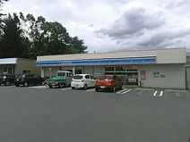 ローソン 甲府住吉一丁目店