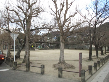 南田児童公園の画像1