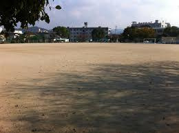 岩戸公園の画像1