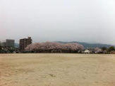 安徳公園