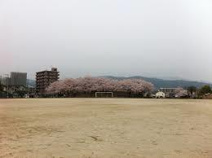 安徳公園